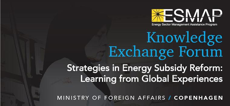 Strategies in Energy Subsidy Reform: Learning from Global Experiences Cover