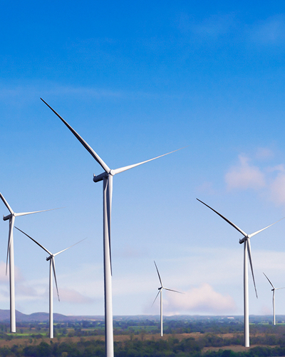 Picture of Wind