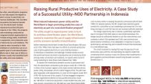 Raising Rural Productive Uses of Electricity: A Case Study of a Successful Utility-NGO Partnership in Indonesia