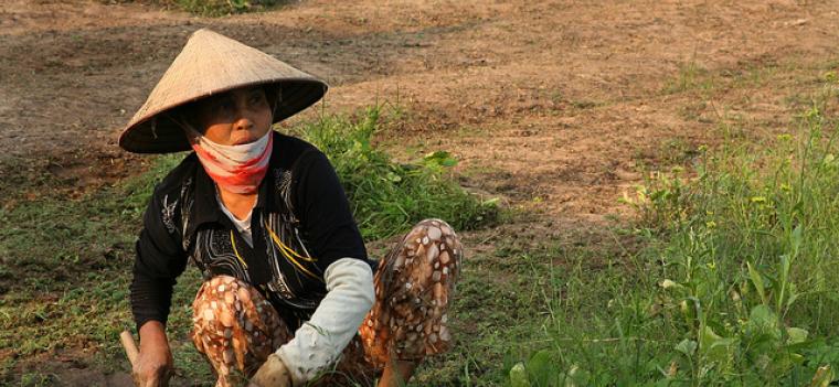 ESMAP’s Gender Work in Vietman’s Trung Son Hydro Power Project Promotes Equal Access to Benefits
