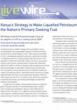 Kenya's Strategy to Make Liquefied Petroleum Gas the Nation's Primary Cooking Fuel