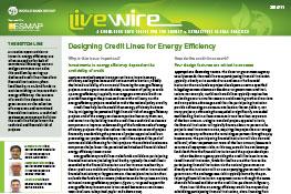 Designing Credit Lines for Energy Efficiency