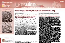 Why Energy Efficiency Matters and How to Scale It Up