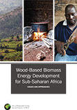 Wood-Based Biomass Energy Development for Sub-Saharan Africa