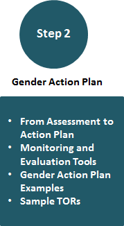 Step 2 | Gender Action Plan